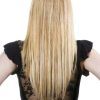Long Hairstyles V In Back (Photo 1 of 25)