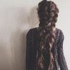 Loose Hair With Double French Braids (Photo 3 of 15)