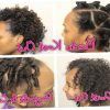 Short Haircuts For Natural African American Hair (Photo 25 of 25)