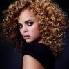 Short Haircuts For Thick Curly Frizzy Hair (Photo 13 of 25)