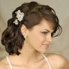 Mother Of The Bride Updo Hairstyles For Short Hair (Photo 11 of 15)