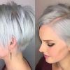 Short Hairstyles For Salt And Pepper Hair (Photo 11 of 25)