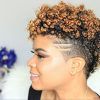 Natural Curly Hair Mohawk Hairstyles (Photo 11 of 25)