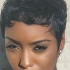 Short Pixie Hairstyles For Black Hair (Photo 2 of 15)