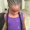 Braided Hairstyles With Fake Hair (Photo 12 of 15)
