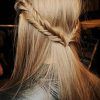 Double Fishtail Braids For Prom (Photo 12 of 25)