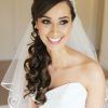 Half Up Half Down With Veil Wedding Hairstyles (Photo 7 of 15)