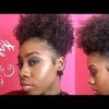 Pony Hairstyles For Natural Hair (Photo 22 of 25)