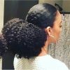 Highlighted Afro Curls Ponytail Hairstyles (Photo 16 of 25)