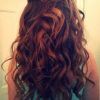Long Curly Hair Updo Hairstyles (Photo 7 of 15)