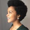 Short Hairstyles For Natural Black Hair (Photo 6 of 25)