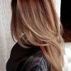 Elongated Layered Haircuts With Volume (Photo 1 of 25)