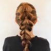 Reverse French Braid Ponytail Hairstyles (Photo 16 of 25)