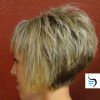 Reverse Pixie Hairstyles (Photo 8 of 15)