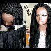 Wigs Braided Hairstyles (Photo 6 of 15)