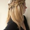 Down Braided Hairstyles (Photo 13 of 15)