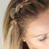 Braided Along The Way Hairstyles (Photo 24 of 25)