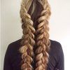 Chunky Two-French Braid Hairstyles (Photo 8 of 15)
