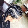 Braided Hairstyle With Jumbo French Braid (Photo 13 of 15)