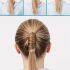 Top 25 of Wrapped Ponytail Hairstyles