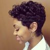 Curly Pixie Hairstyles With Segmented Undercut (Photo 24 of 25)