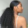 Curly Pony Hairstyles For Ultra Long Hair (Photo 17 of 25)
