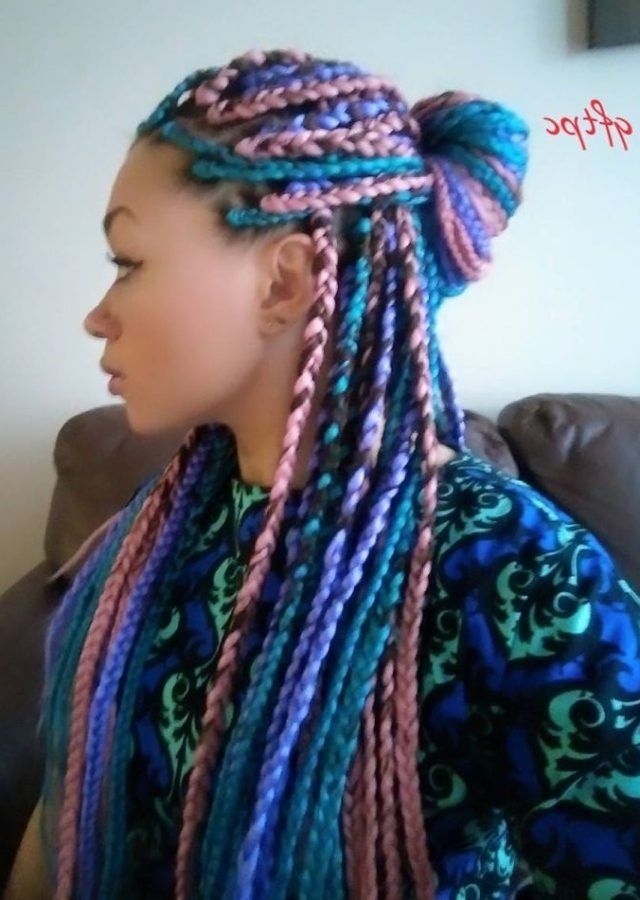 15 Ideas of Braided Hairstyles with Color