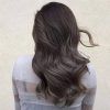 Ash Blonde Balayage Ombre On Dark Hairstyles (Photo 19 of 25)