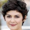 Short Haircuts For Round Faces And Thick Hair (Photo 11 of 25)