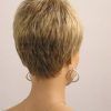 Pixie Shag Haircuts For Women Over 60 (Photo 6 of 25)