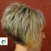 Reverse Pixie Hairstyles (Photo 3 of 15)