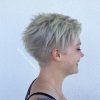 Spiky Gray Pixie Haircuts (Photo 3 of 25)