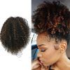 Highlighted Afro Curls Ponytail Hairstyles (Photo 2 of 25)