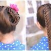 Twin Braid Updo Ponytail Hairstyles (Photo 23 of 25)