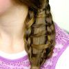 Side Ponytail Hairstyles With Braid (Photo 21 of 25)