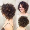 Curly Layered Bob Hairstyles (Photo 17 of 25)