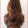 V-Cut Layers Hairstyles For Thick Hair (Photo 15 of 25)
