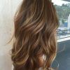Long Hairstyles With Highlights (Photo 7 of 25)