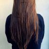 Long Hairstyles Layered Straight (Photo 13 of 25)
