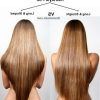 V-Cut Layers Hairstyles For Thick Hair (Photo 24 of 25)