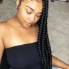 Thick Wheel-Pattern Braided Hairstyles (Photo 11 of 25)