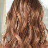 Light Copper Hairstyles With Blonde Babylights (Photo 2 of 25)