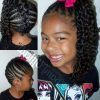Braided Hairstyles Into A Ponytail With Weave (Photo 15 of 15)