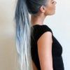 Crisp Pulled-Back Braid Hairstyles (Photo 9 of 25)