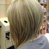 Long Inverted Bob Back View Hairstyles (Photo 9 of 25)