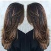 Balayage Hairstyles For Long Layers (Photo 9 of 25)