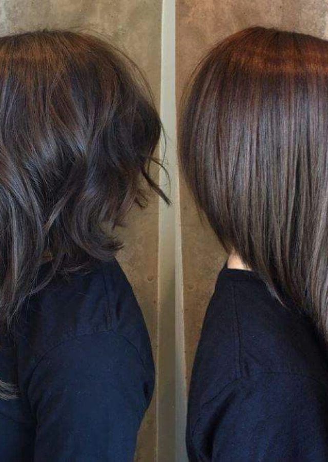 The 25 Best Collection of Hairstyles Long Front Short Back