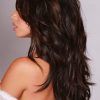 Long Hairstyles For Dark Hair (Photo 4 of 25)