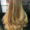 Balayage Hairstyles For Long Layers (Photo 22 of 25)