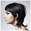 Long Layered Pixie Hairstyles (Photo 12 of 15)